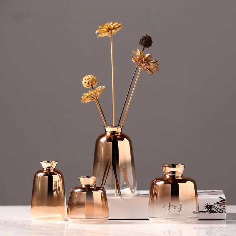 Placat cu aur Efecte de Gradient Vaza de Sticla Nordic Simplu Meșteșug Masă Vaze de Flori de Plante Sticla Living Modern Decor Acasă Imagine 4