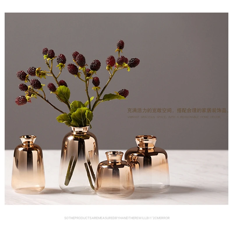 Placat cu aur Efecte de Gradient Vaza de Sticla Nordic Simplu Meșteșug Masă Vaze de Flori de Plante Sticla Living Modern Decor Acasă Imagine 3
